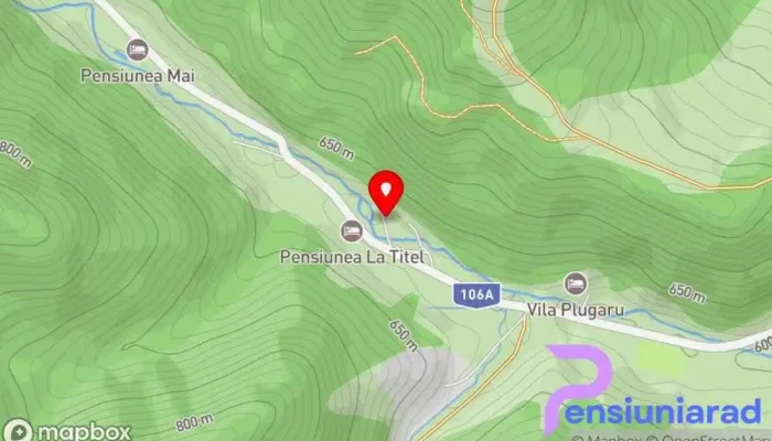 Pensiunea Alpin -  Hartă - Păltiniș