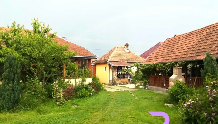 Pensiunea Ana -  Dragusana De La Vizitatori - Drăguș