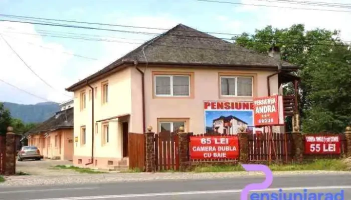 Pensiunea Andra -  Site Web - Dumbrava Roșie