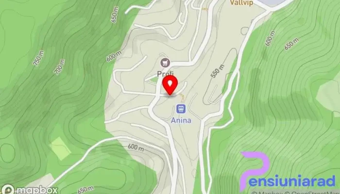 Pensiunea Anina -  Hartă - Anina