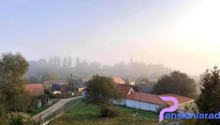 Pensiunea Any Altina Cabana - Alțâna