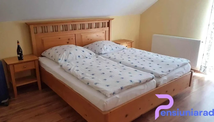 Pensiunea Arpasel -  Camere - Arpașu De Sus