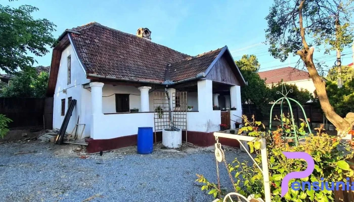 Pensiunea Aurelia -  De La Vizitatori - Șiria