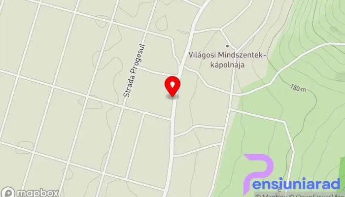 Pensiunea Aurelia -  Hartă - Șiria