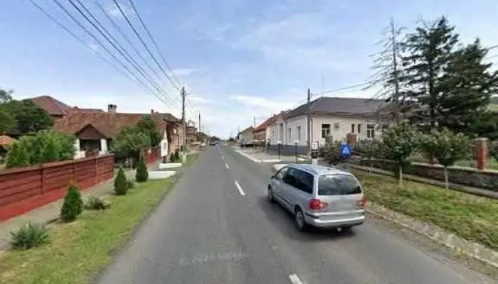 Pensiunea Aurelia -  Street View Si 360deg - Șiria