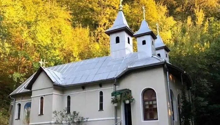 Pensiunea Aurelia - Șiria