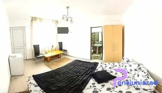 Pensiunea Brici -  Cluj Napoca 3 - Cluj-napoca