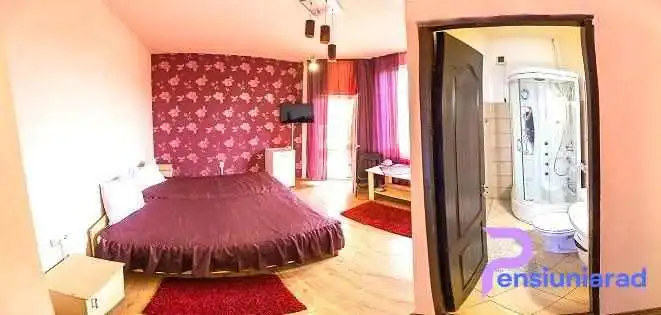 Pensiunea Brici -  Cluj Napoca 6 - Cluj-napoca