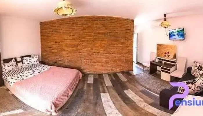 Pensiunea Brici - Cluj-Napoca