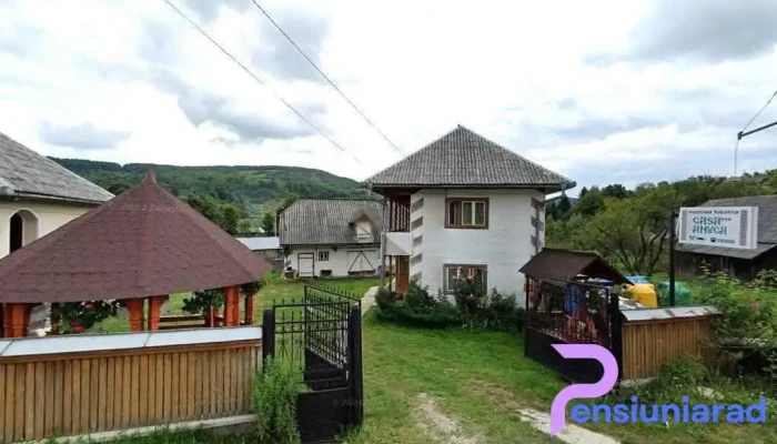 Pensiunea Casa Ancuta - Poienile Izei