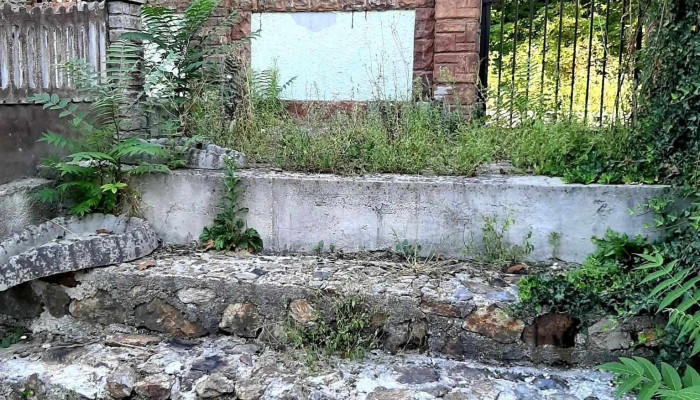 Pensiunea Casa Brancusi -  Exterior - Peștișani