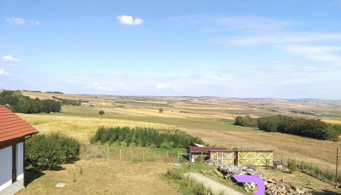 Pensiunea Casa Bunicului -  De La Vizitatori - Mociu