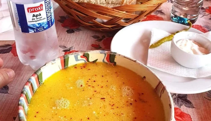 Pensiunea Casa Bunicului -  Mancaruribauturi - Mociu