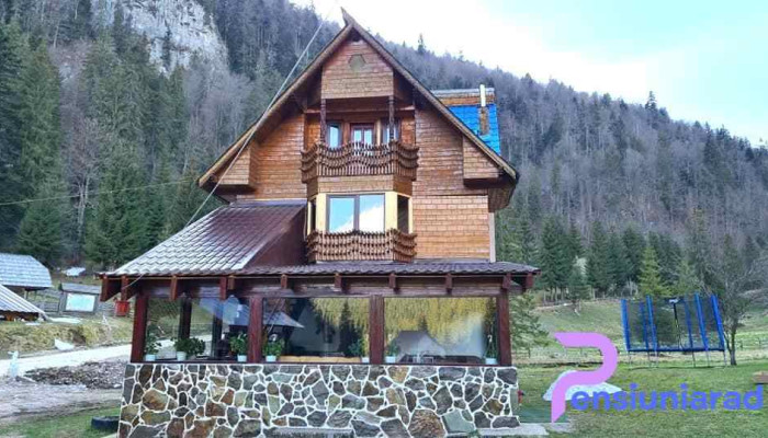 Pensiunea Casa de Piatră - Nr 100