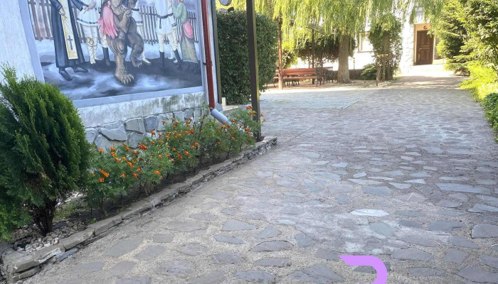 Pensiunea Casa Domneasca - România