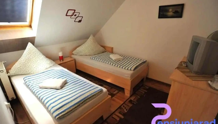 Pensiunea Castelul -  De La Proprietar - Lăzarea