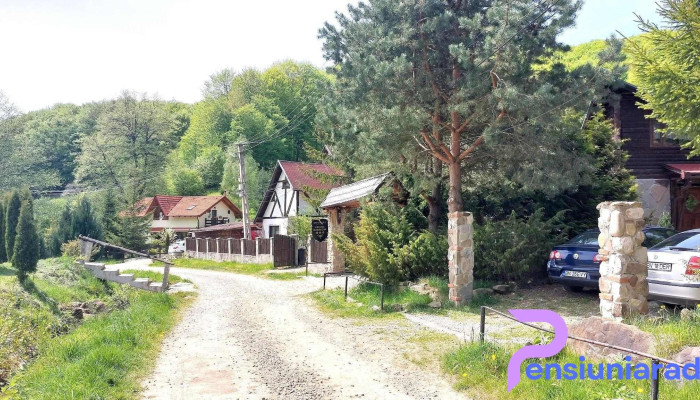Pensiunea Cerbul Dobarlau De La Vizitatori - Valea Dobârlăului