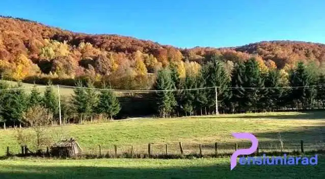 Pensiunea Cerbul Dobarlau Videoclipuri - Valea Dobârlăului