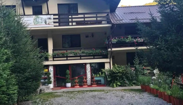 Pensiunea Ciobanelu -  Exterior - Ciungetu