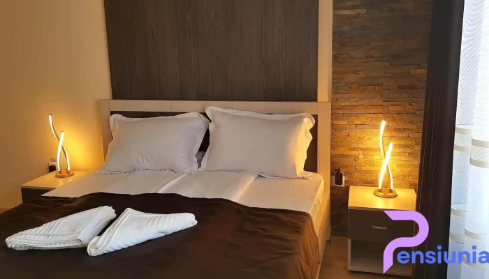 Pensiunea Confort Morosanu Camere - Șinca Veche