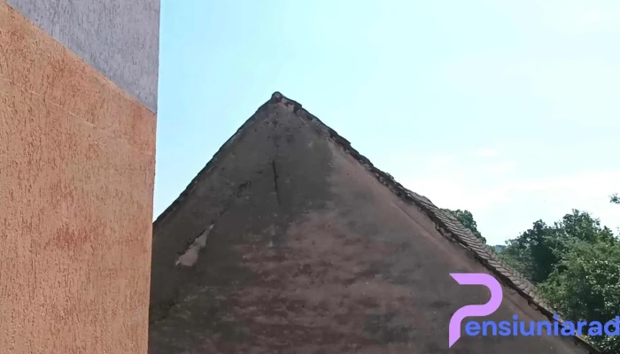 Pensiunea Confort Morosanu Videoclipuri - Șinca Veche