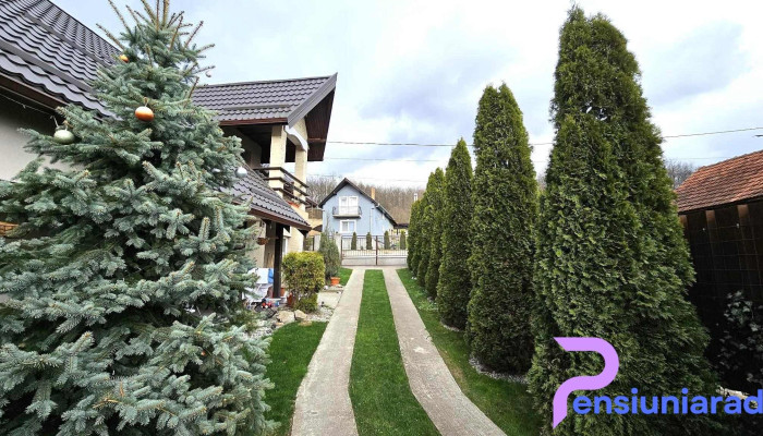Pensiunea Dor de Vis - Hațeg 335500