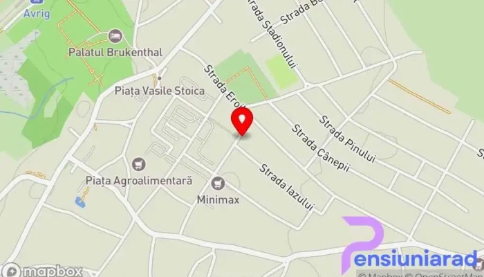 Pensiunea Dragonul -  Hartă - Avrig