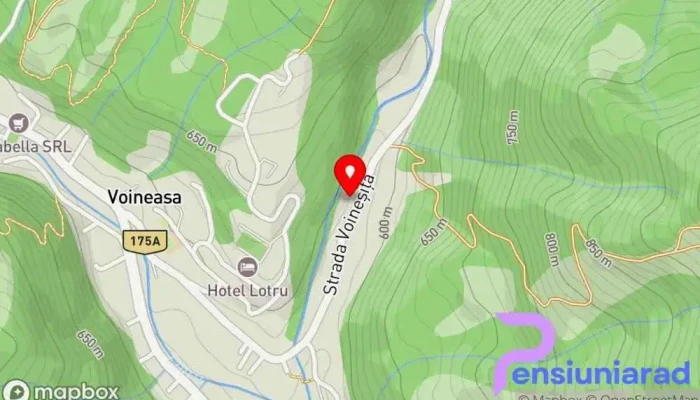Pensiunea Edelweissvoineasa Hartă - Voineasa