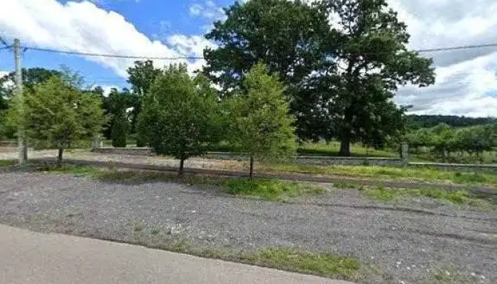 Pensiunea Elena Sebis -  Street View Si 360deg - Sebiș