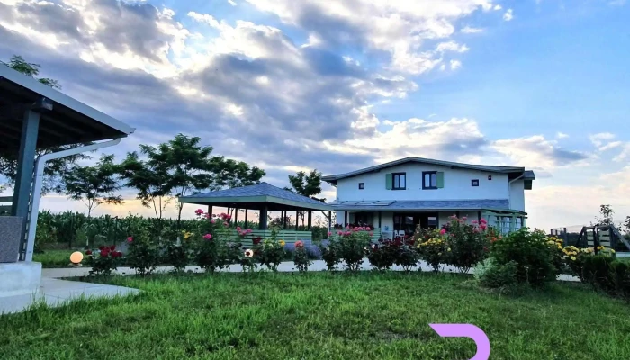 Pensiunea Floarea Soarelui - Piscu 077050