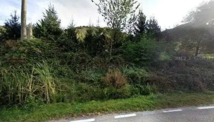 Pensiunea Gasthaus Maria -  Street View Si 360deg - Borlova