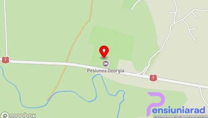 Pensiunea Georgia -  Hartă - Lungulețu