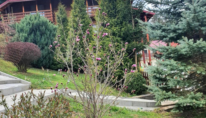 Pensiunea Hanul Lupilor -  Exterior - Sita Buzăului