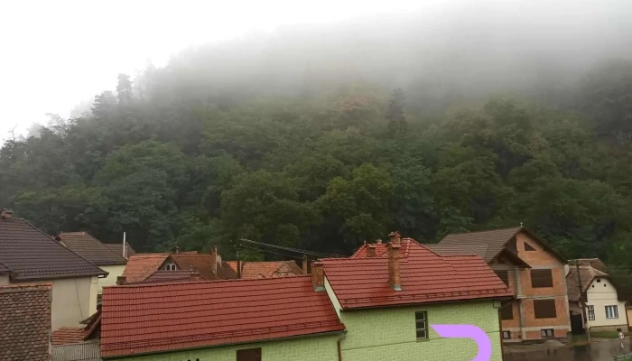 Pensiunea Irina -  Cabana - Tilișca