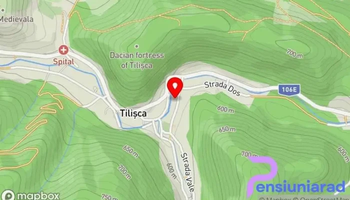 Pensiunea Irina -  Hartă - Tilișca