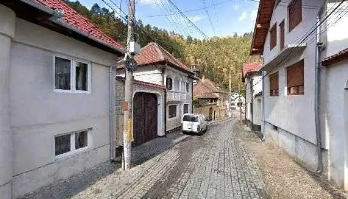 Pensiunea Irina -  Street View Si 360deg - Tilișca