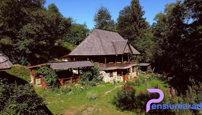 Pensiunea Maramureșul Străvechi - Budești