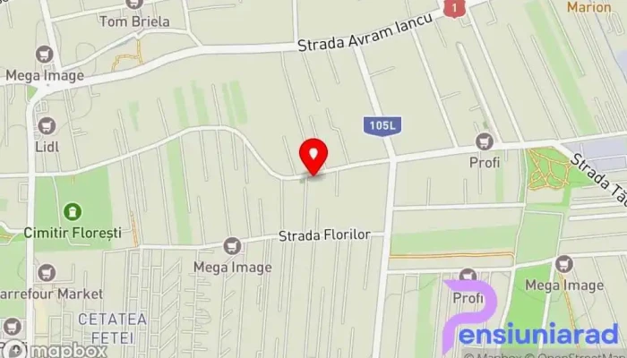 Pensiunea Maria -  Hartă - Florești