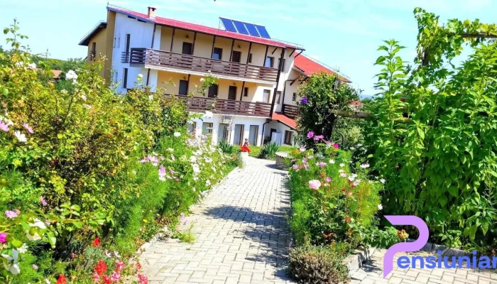 Pensiunea Miriam -  Cabana - Șura Mică