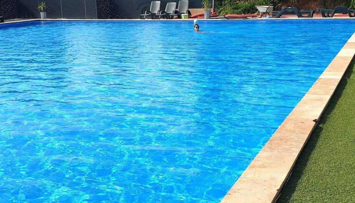 Pensiunea Moara Lipanului -  De La Vizitatori - Iara