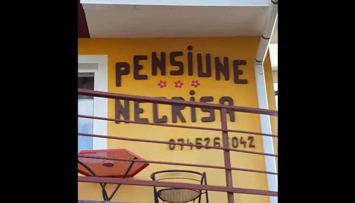 Pensiunea Necrisa Timisoara De La Proprietar - Ghiroda