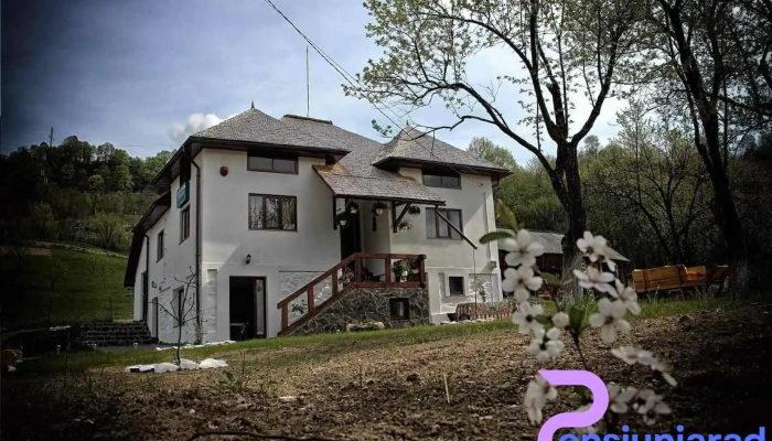 Pensiunea Nițuca - Moisei