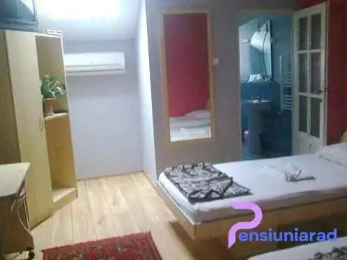 Pensiunea Paradis Buzias -  De La Proprietar - Buziaș