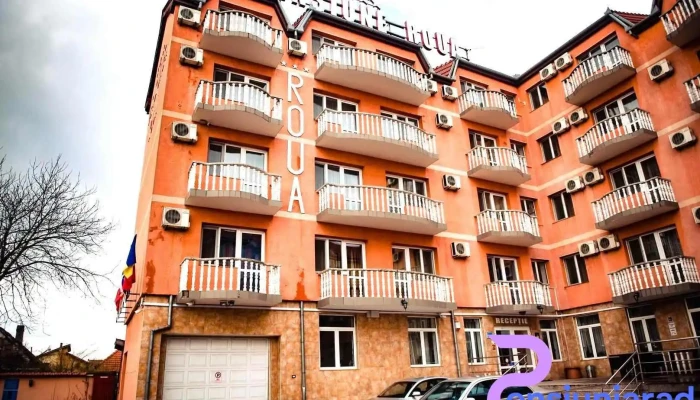 Pensiunea Roua -  Exterior - Arad