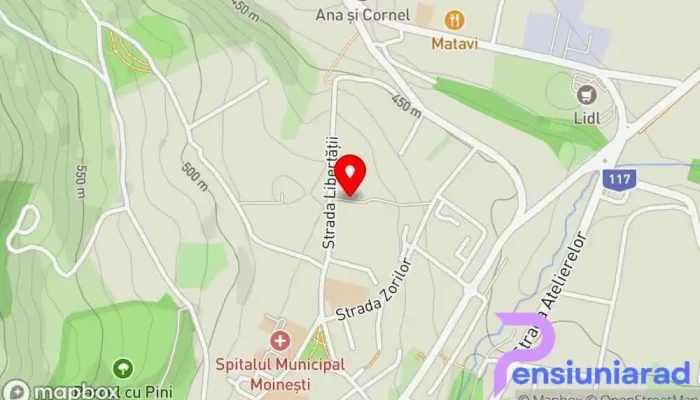 Pensiunea Royal -  Hartă - Moinești