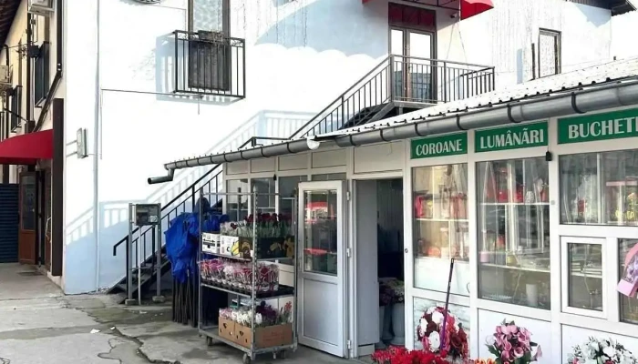 Pensiunea Rr Bailesti Exterior - Băilești