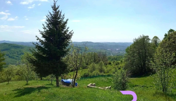 Pensiunea Runcu Stone -  Cele Mai Recente - Runcu