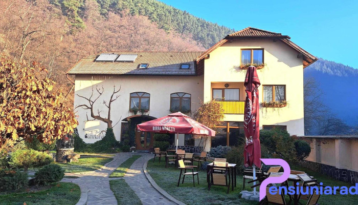 Pensiunea Sanziana -  Exterior - Sibiu