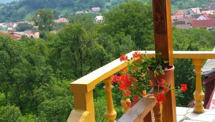 Pensiunea Simina Rasinari Sibiu Aproape De Mine - Rășinari