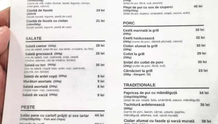 Pensiunea Suatu -  Meniu - Suatu